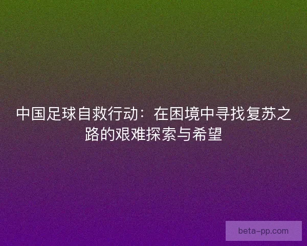 中国足球自救行动:在困境中寻找复苏之路的艰难探索与希望 中国足球自救行动:在困境中寻找复苏之路的艰难探索与希望